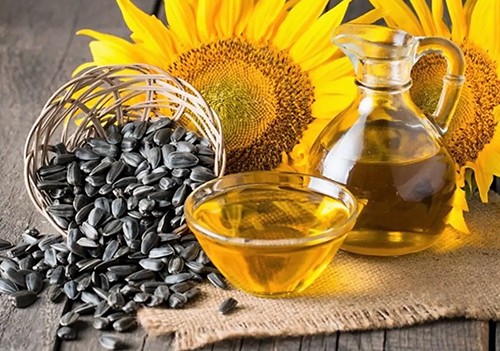 Importance of Quality Control in Edible Oil Supply