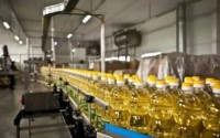 Sunflower Oil